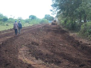 Clearing the Access Road